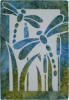 Libellentanz (28x42 cm)